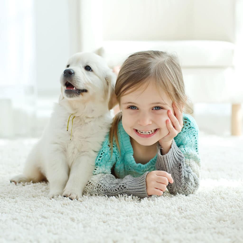 Carpet Flooring — Toronto