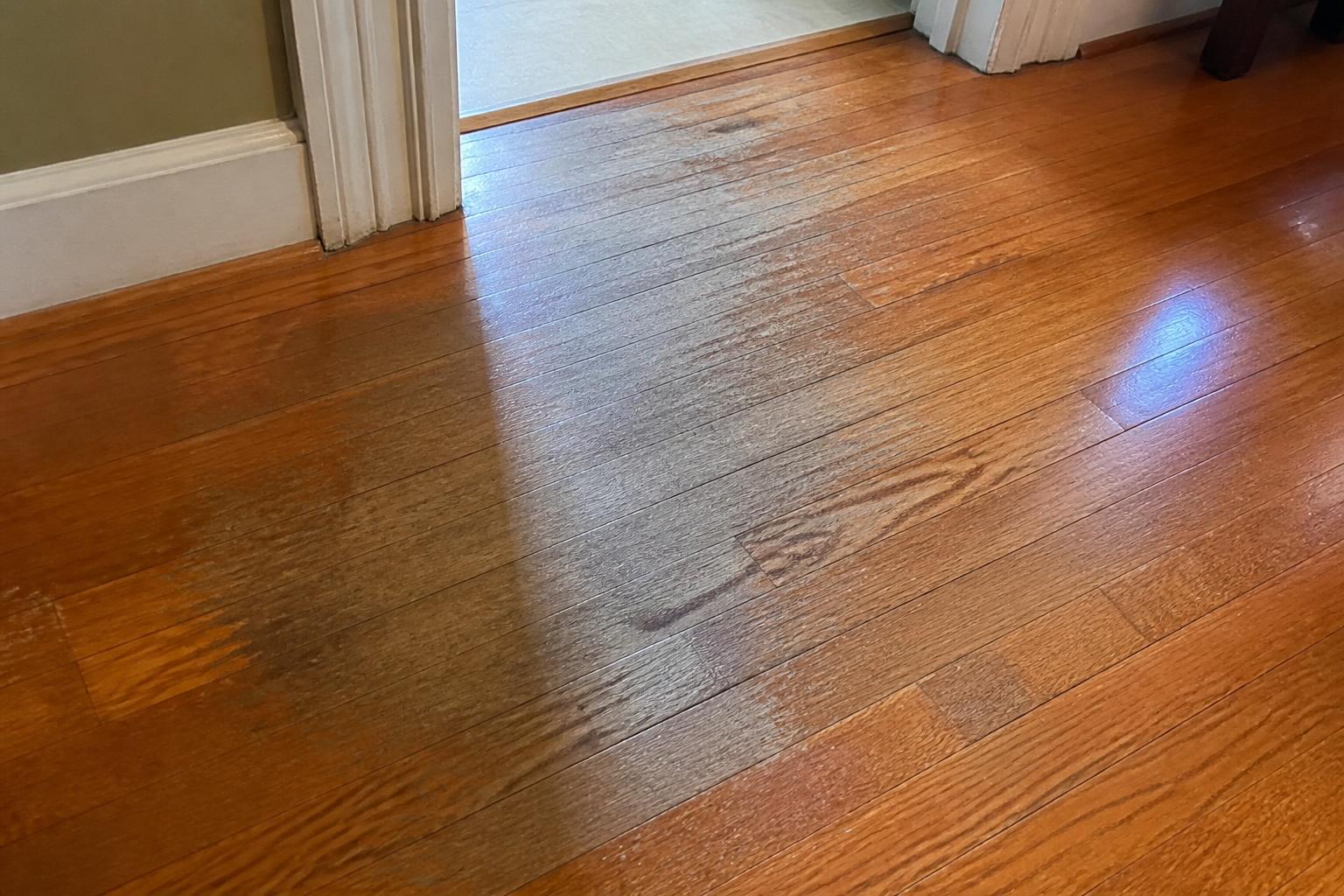 Close-up of a worn hardwood floor finish showing dull patches near a doorway